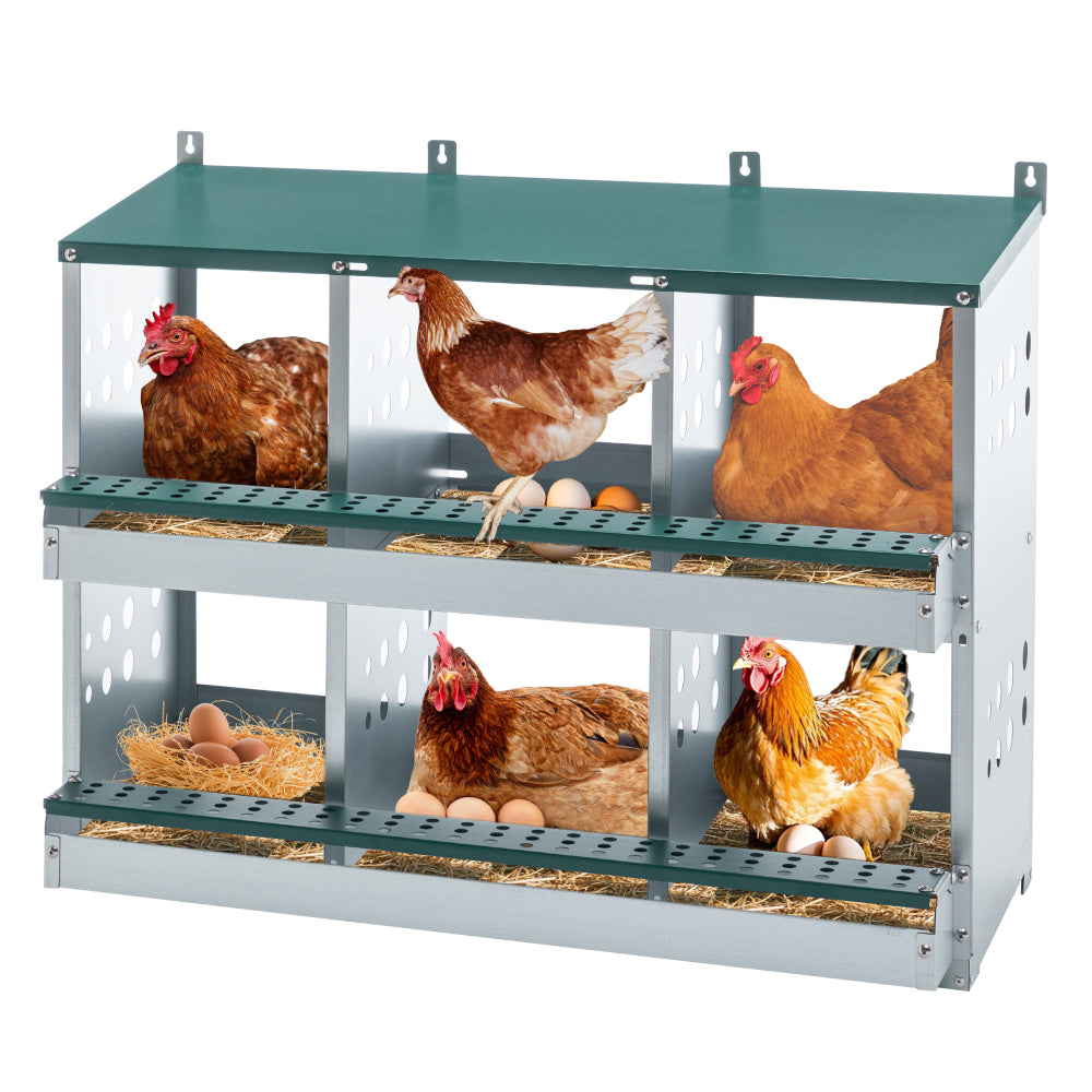 10-Bay Metal Nest Box-Wall Mount for Hens/Ducks, Easy Egg Collection & Assembly, Vented Galvanized Steel Coop Equipment Grenn