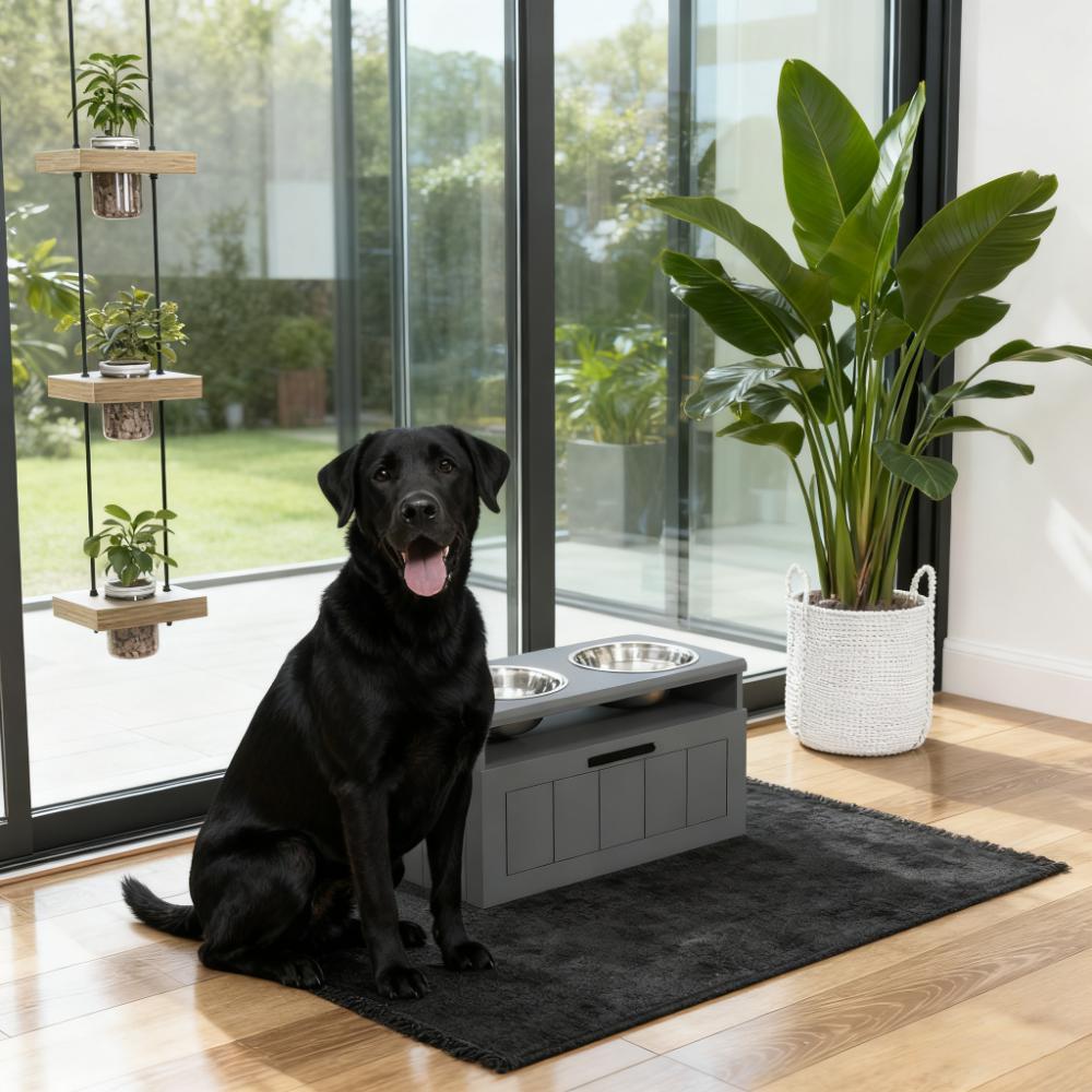Elevated Dog Bowls with Storage Cabinet