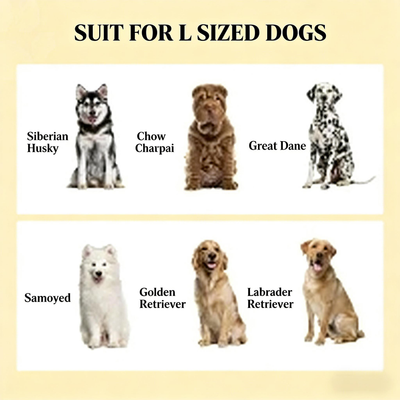 Pet Food Bowl Dog Feeding Station,Raised Dog Bowl Stand