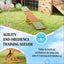 Wooden Pet Agility Seesaw,Dog Agility Seesaw