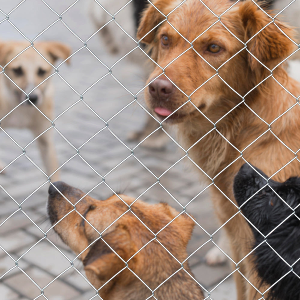 Farm Fence 5.6ft x 57ft Heavy Zinc Coating Cattle Fence,Galvanized Field Wire Fencing Deer Fence,Goat Fence,Hog Wire Fencing for Yard Livestock & Animals Protection