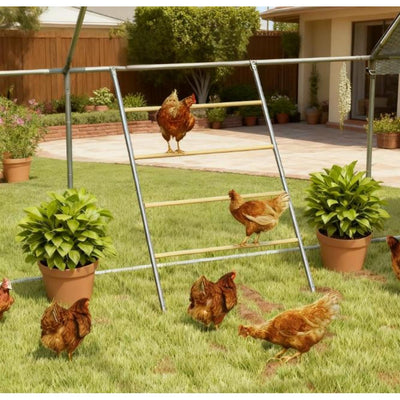 Chicken Roost for Coop, Jungle Gym Roosting Bar, 55" x 33.75"