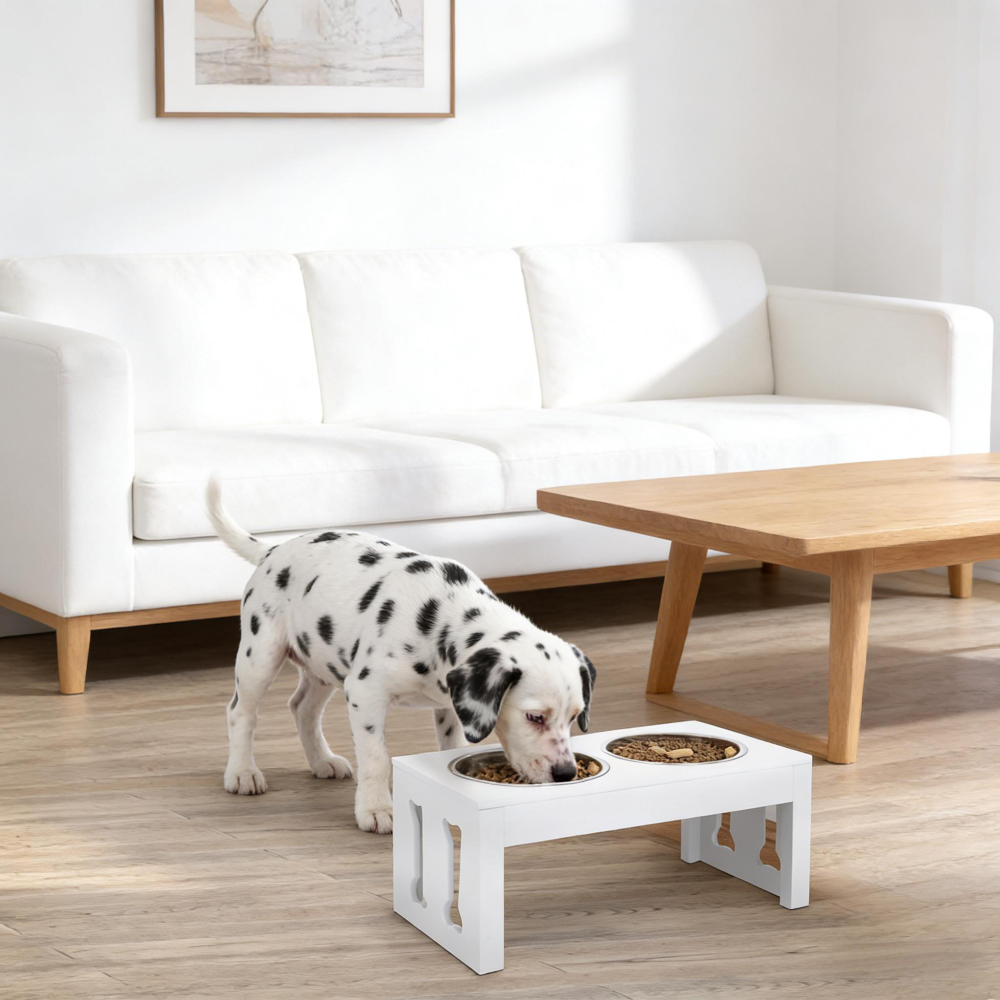 Elevated Feeding Station,Raised Dog Bowls Stand,Pet Food Bowl Stand