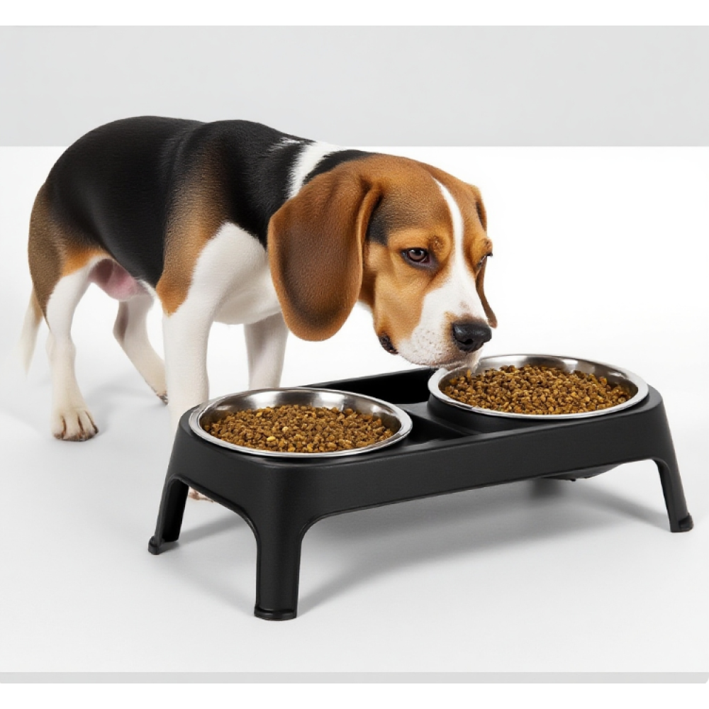 Double Stainless Steel Heavy Duty Dog Food Bowl Elevated Pet Feeding Station