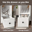Cat Litter Box Enclosure, Indoor Hidden Cat Litter Box Furniture with 2 Drawers and Door, Cat House End Table for Living room, White and Brown