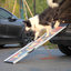 Retractable Aluminum Dog Ramp, Portable Pet Steps for Cars Trucks SUVs, Telescoping Dog Ramp with Non-Slip Surfaces, Colorful Patterns