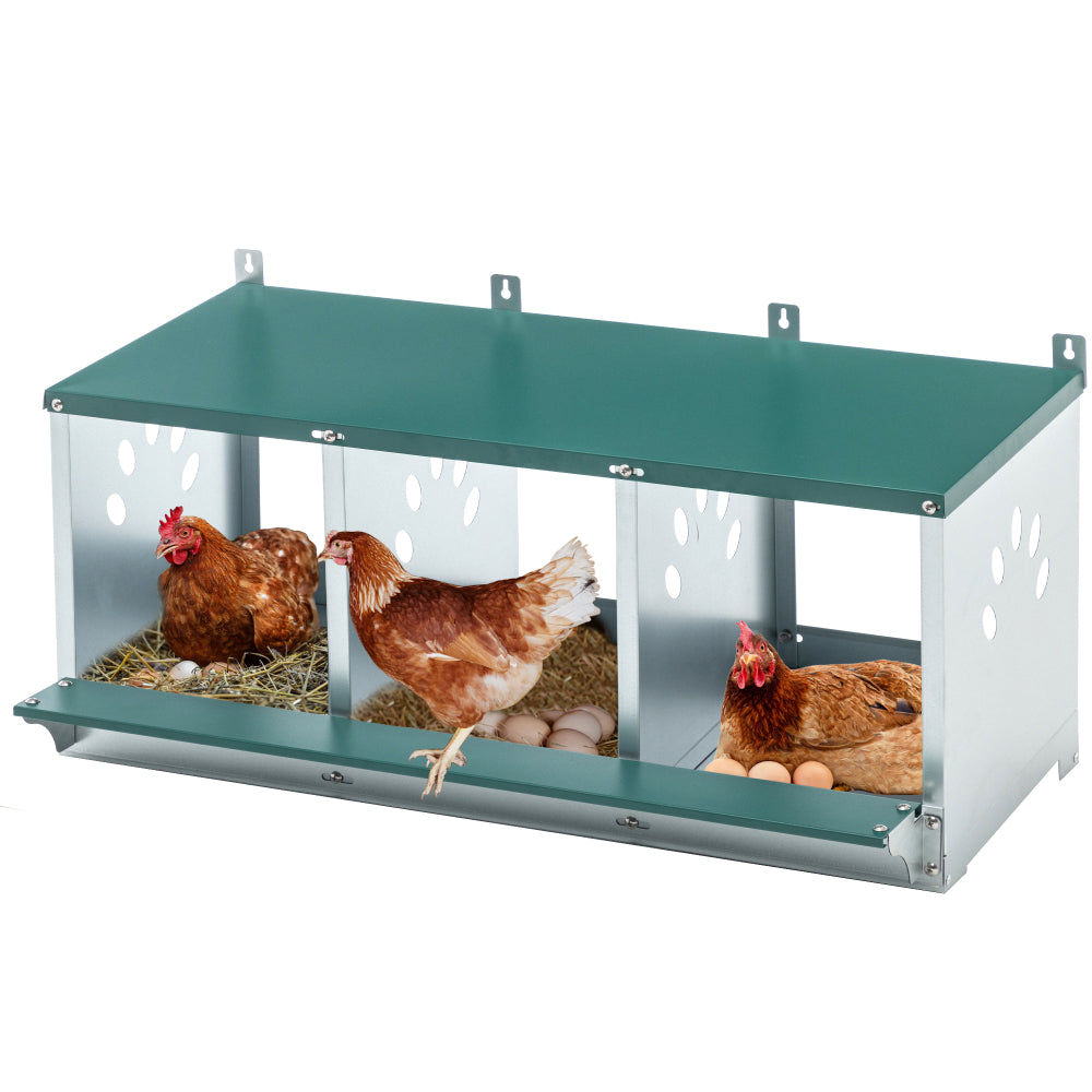 10-Bay Metal Nest Box-Wall Mount for Hens/Ducks, Easy Egg Collection & Assembly, Vented Galvanized Steel Coop Equipment Grenn