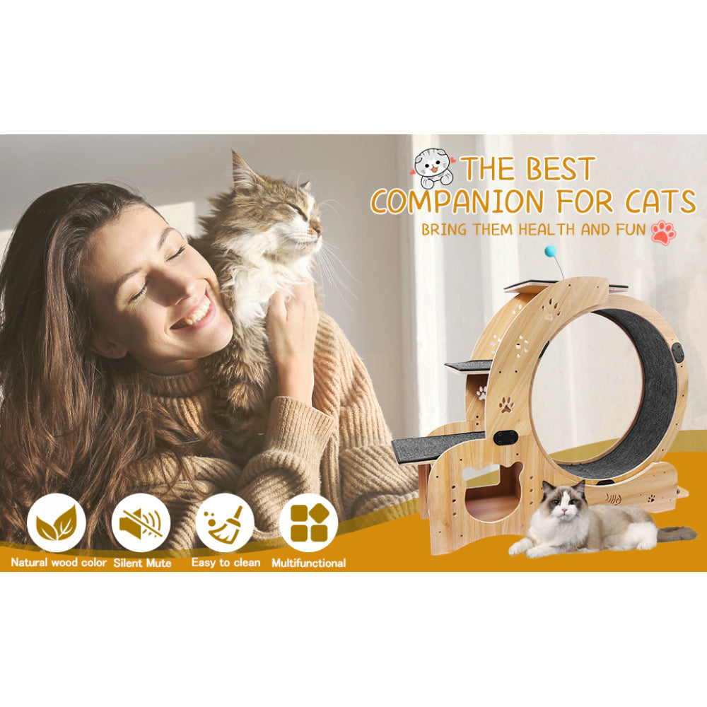 Cat Wheel 6-in-1 Cat Exercise Wheel,Upgraded Cat Wheel Exerciser for Indoor Cats,Large Cat Treadmill,Cat Running Wheel with Silent Wheel,Cat Walking Wheel Cat Furniture Cat Toys