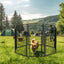 8 Panels Heavy Duty Metal Playpen with door,39.37"H Dog Fence Pet Exercise Pen for Outdoor, Indoor