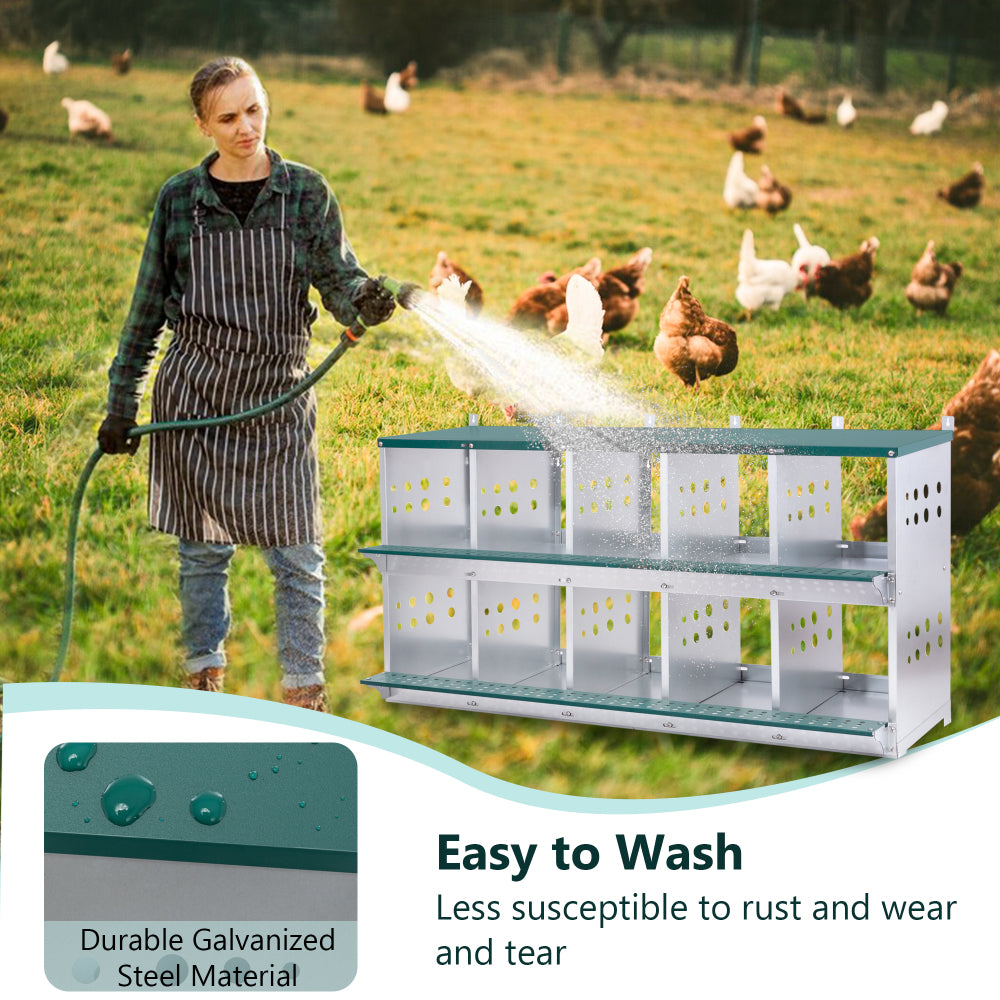 10-Bay Metal Nest Box-Wall Mount for Hens/Ducks, Easy Egg Collection & Assembly, Vented Galvanized Steel Coop Equipment Grenn