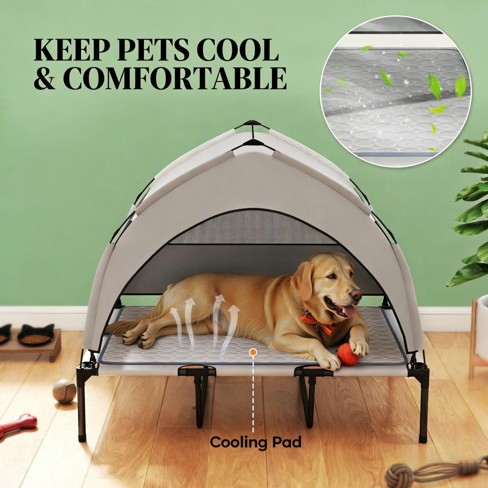 Raised Pet Cot,Elevated Portable Dog Cot