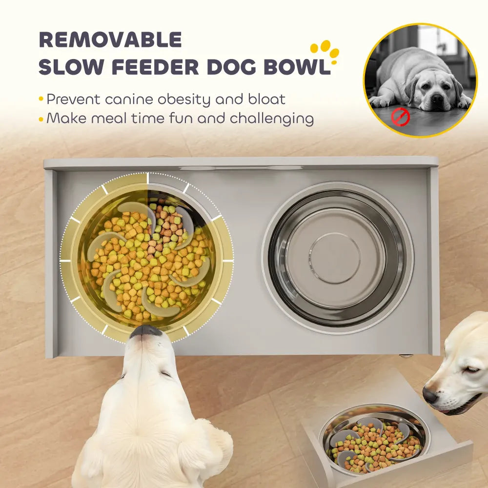 Elevated Dog Bowls with 2 Stainless Steel Bowl