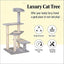 Cat Activity Tower,Revolving Stair Cat Tree
