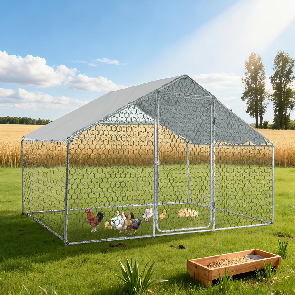 XPT033 Outdoor chicken coop metal big space 10*6*6FT