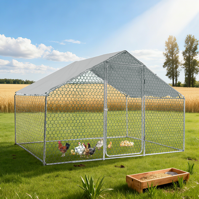 XPT033 Outdoor chicken coop metal big space 10*6*6FT