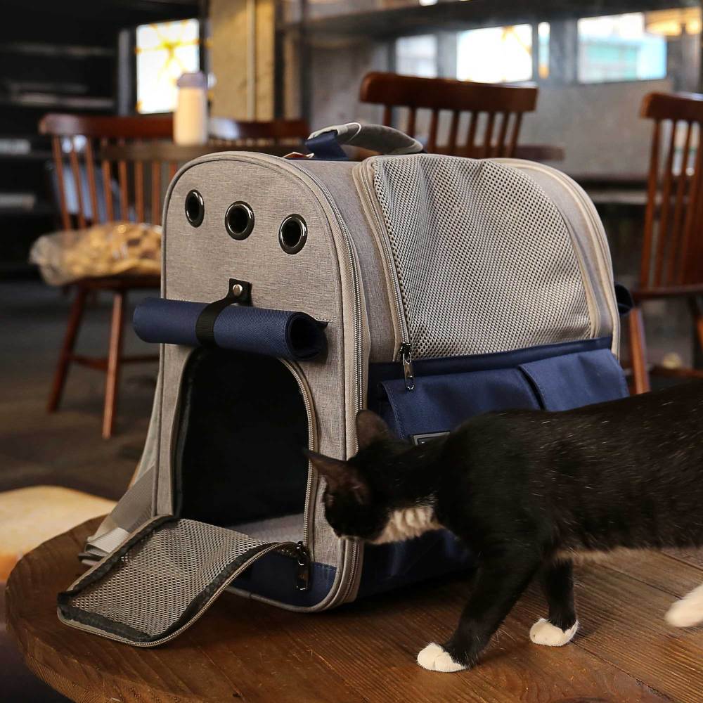 Stylish And Spacious Foldable Soft Pet Carrier For Dogs And Cats