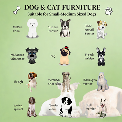 Elevated Pet Bed,Rattan Dog House