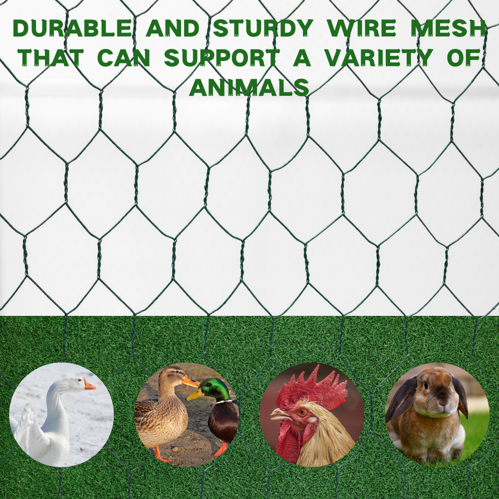 XPT036F Outdoor chicken coop metal big space 26*10*6FT