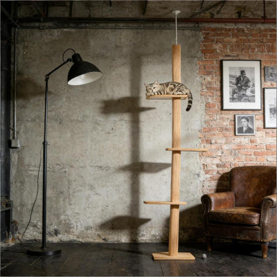 Cat Tree,Cat Tree Activity Center