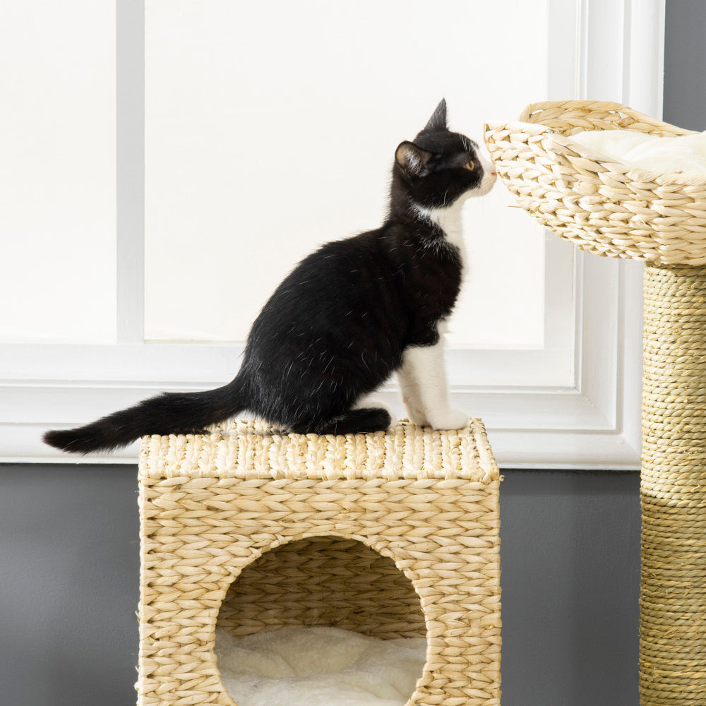 Cat Tree,Cattail Weave Cat Tree for Indoor,Cats Tower