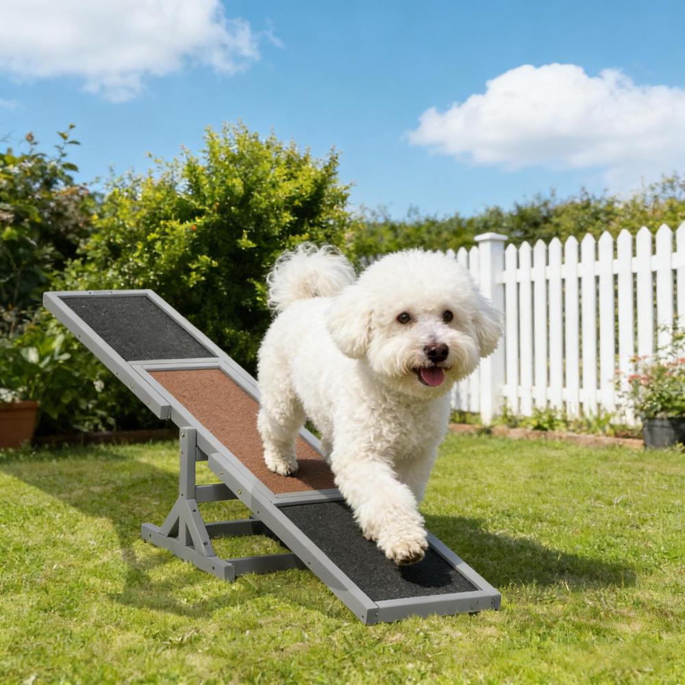 Wooden Agility Seesaw,Dog Agility Seesaw,Pet Agility Seesaw