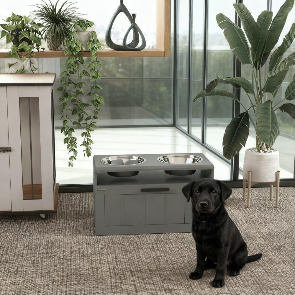 Elevated Dog Bowls with 2 Stainless Steel Bowls