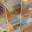 PawHut 18" 5 Tier Hamster Cage with Tubes and Tunnels, Small Animal Cage with Portable Carry Handle, Gerbil Cage with Water Bottle, Food Dish, Exercise Wheel, Light Blue