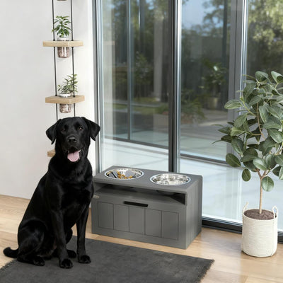 Elevated Dog Bowls with 2 Stainless Steel Bowls