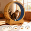 Cat Exercise Wheel for Indoor Cats, 42" Cat Treadmill Wheel with Detachable Carpeted Runway, Natural Solid Wood Sturdy Running Wheel for Running/Training/Walking, Suitable for Most Cats
