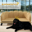 Coffee  Pearl Design Pet Sofa