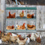 Chicken Nesting Box, 6 Room Metal Nesting Boxes for Chicken,Galvanized steel Nesting Boxes for Hens,Easy to Assemble