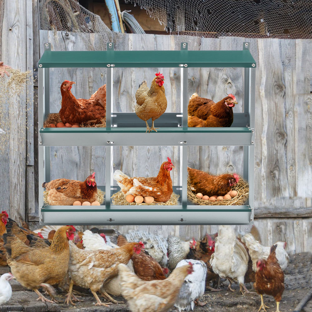 Chicken Nesting Box, 6 Room Metal Nesting Boxes for Chicken,Galvanized steel Nesting Boxes for Hens,Easy to Assemble