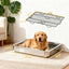 Dog Potty Tray 28" x 20" x 4"