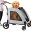 EchoSmile XL Extra Large Dog Stroller - Adjustable Handles,Lightweight Folding Pet Stroller,All-Terrain 4 Wheel for 2 Medium Dogs,Dual Entry Safety Dog Stroller,Capacity 160 lbs,Gray