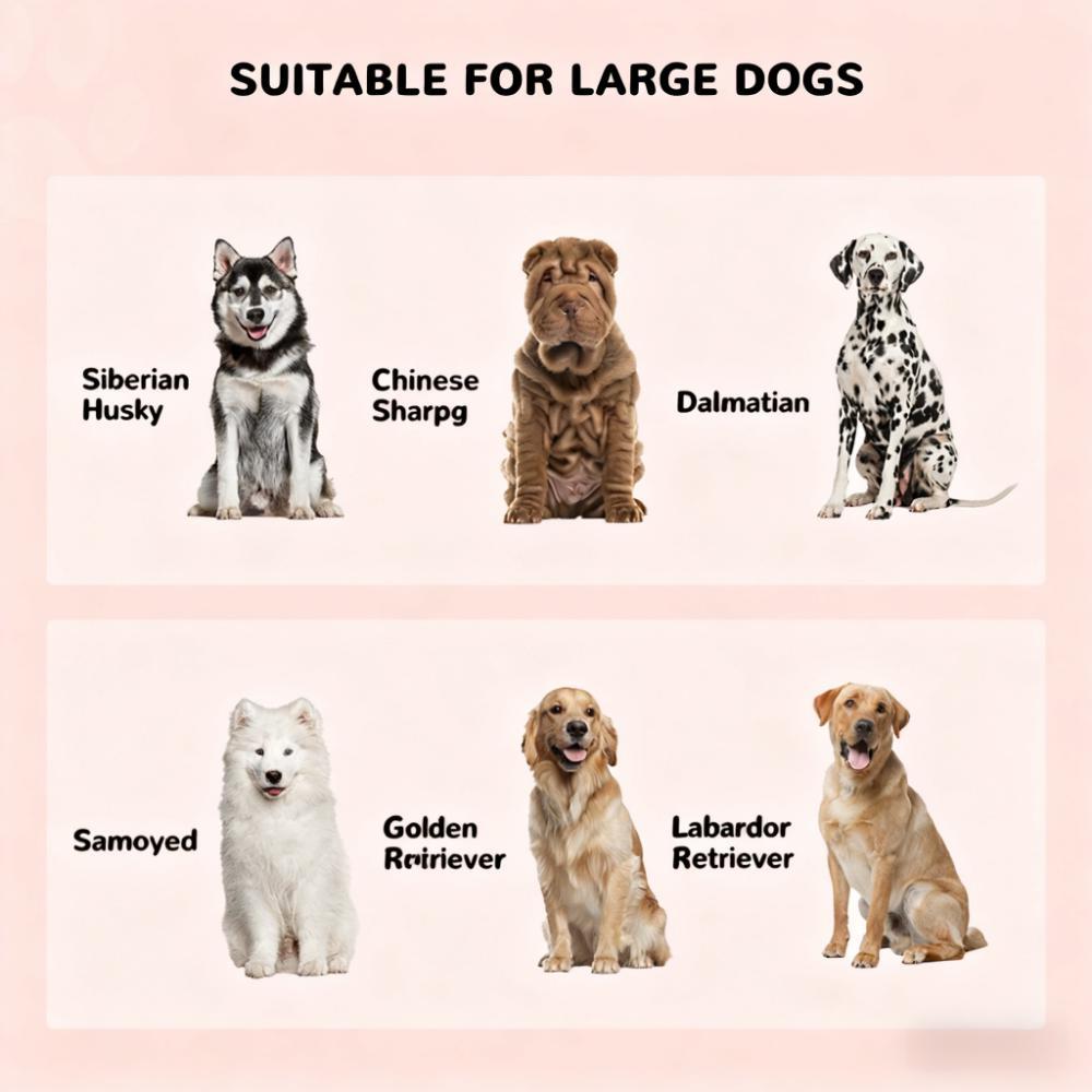 Pet Bowls,Elevated Dog Bowls with Storage Cabinet Containing Large Capacity