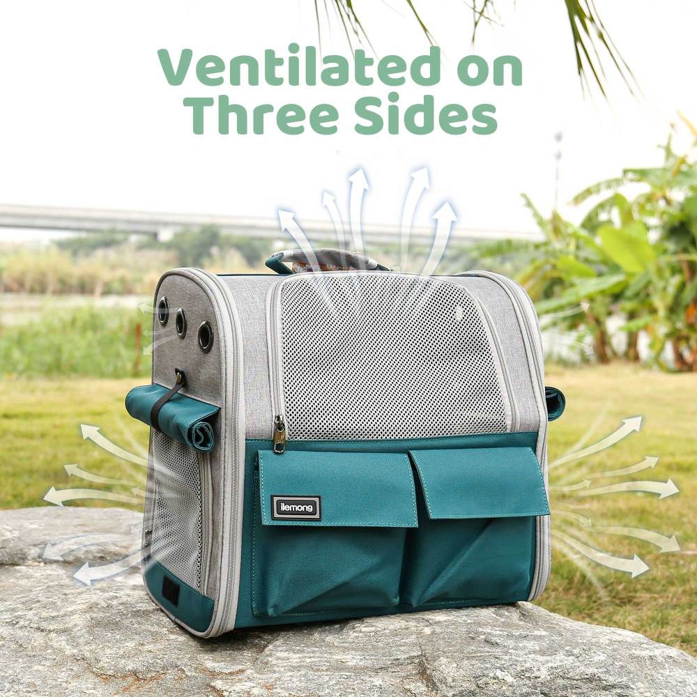 Stylish And Spacious Foldable Soft Pet Carrier For Dogs And Cats