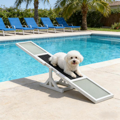 Pet Agility Seesaw,Wooden Agility Seesaw
