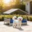 Elevated Pet Bed,Rattan Dog House