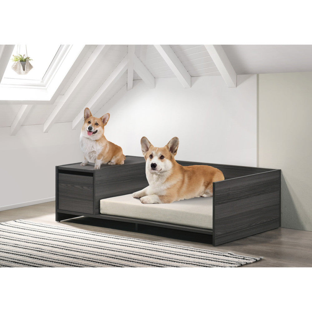 Enrica Ash Gray 47"W Modern Comfy Pet Bed with Cushion and Side Storage Compartment