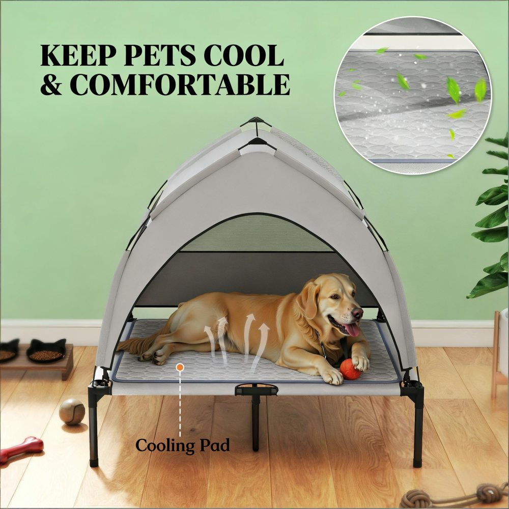 Pet Cot with Pad,Elevated Portable Dog Cot