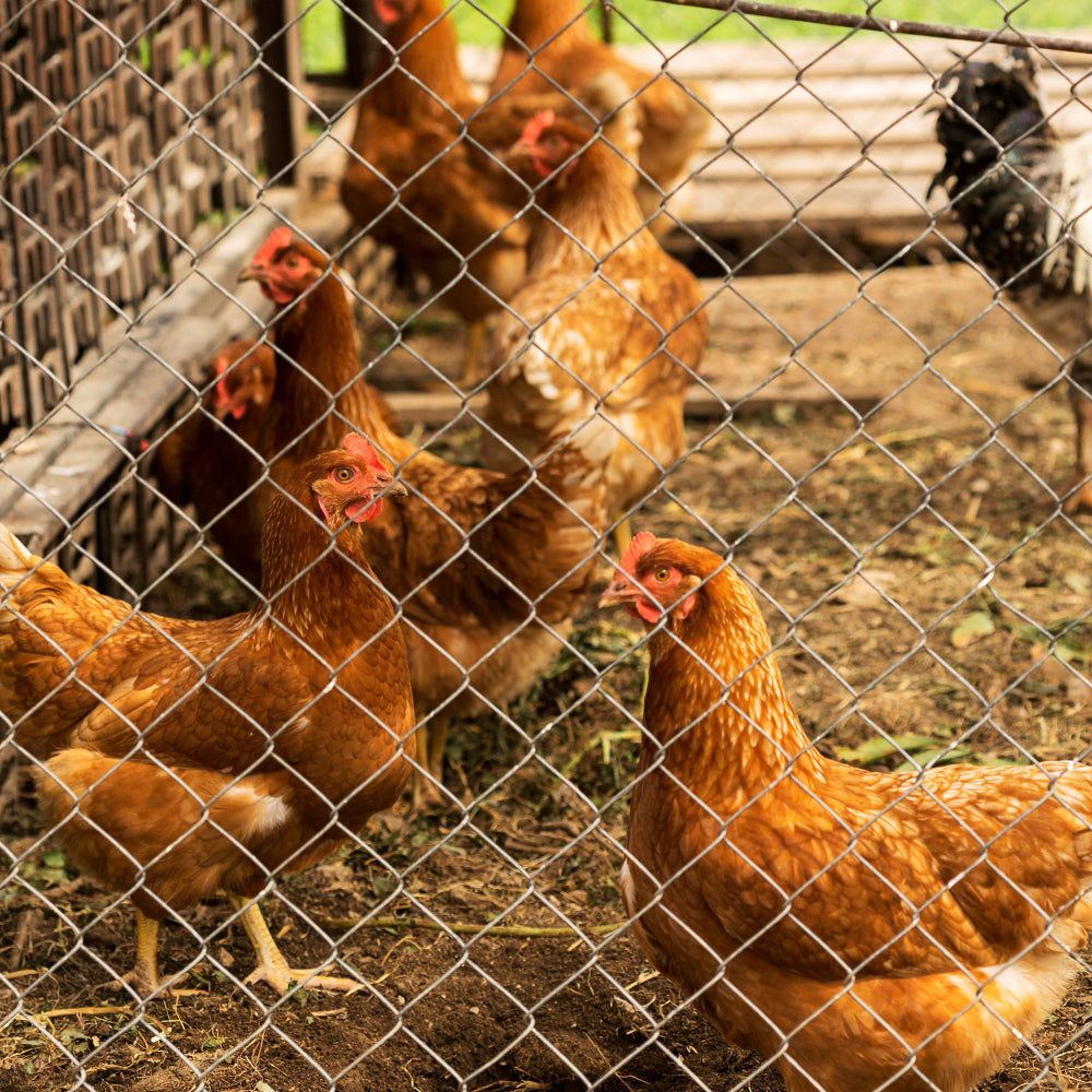 Farm Fence 5.6ft x 57ft Heavy Zinc Coating Cattle Fence,Galvanized Field Wire Fencing Deer Fence,Goat Fence,Hog Wire Fencing for Yard Livestock & Animals Protection