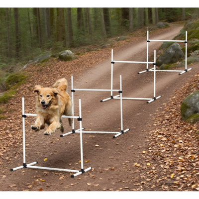 Dog Agility Training Equipment for Dog Agility Course