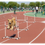 Dog Agility Training Equipment for Dog Agility Course