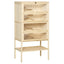PawHut 5-Tier Wooden Hamster Cage Mice Habitat Rat Habitat with Openable Top, Front Door and Storage Shelf