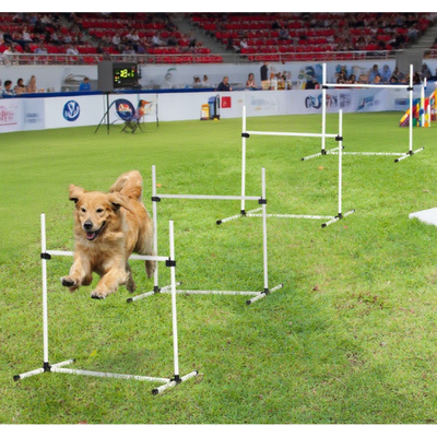 Dog Agility Training Equipment for Dog Agility Course