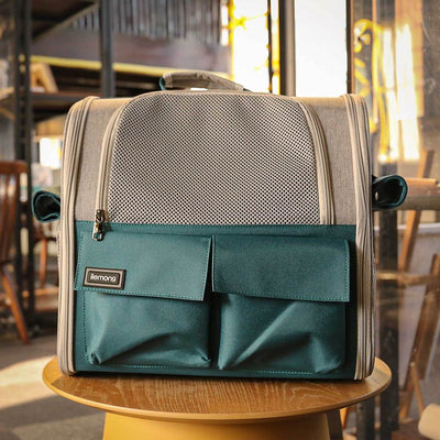 Stylish And Spacious Foldable Soft Pet Carrier For Dogs And Cats