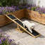 Dog Agility Seesaw,Pet Agility Seesaw,Wooden Agility Seesaw