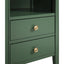 SunJet Winston 2-drawer storage Nightstand - Vintage Green