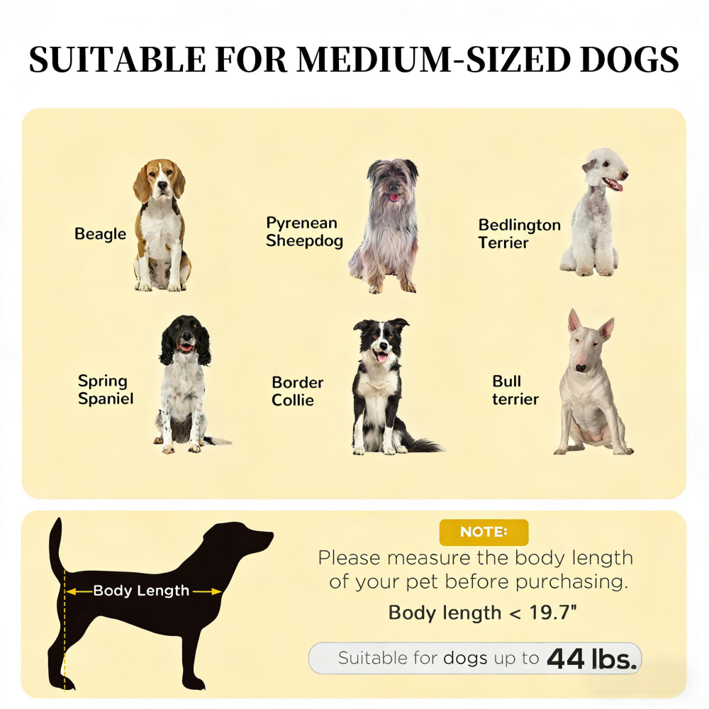 Pet Bed,Elevated Portable Dog Cot